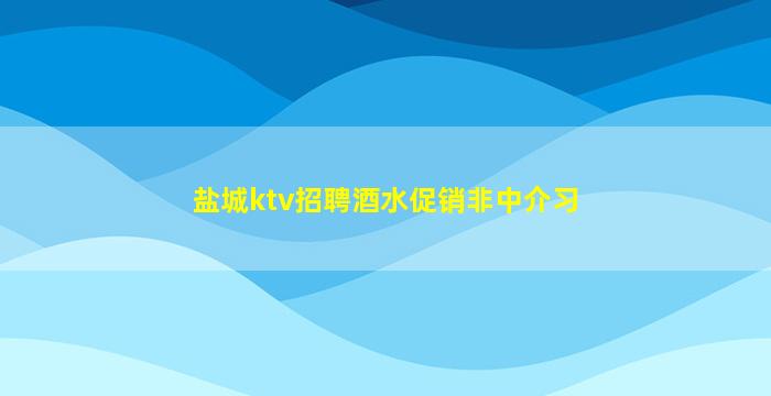 盐城ktv招聘酒水促销非中介习